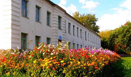 Світлана писцовой не пасує перед труднощами, вона з ними справляється