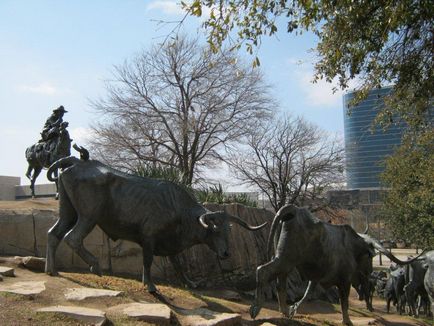 Священні корови Техасу - бич на дорогах мегаполісів