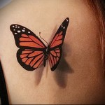 Butterfly tattoo - fotografii de tatuaje cu fluturi