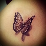 Butterfly tattoo - fotografii de tatuaje cu fluturi