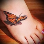 Тату метелик - фотографії татуювання з метеликами