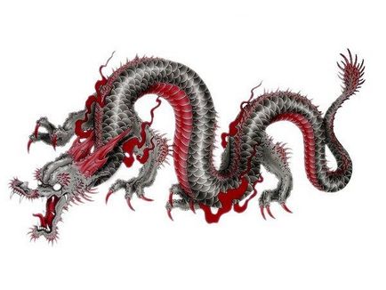 Dragon dragon valori și fotografii, schițe și idei de tatuaje dragon pentru bărbați și fete