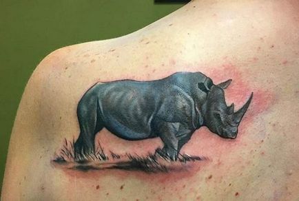 Тату носоріг значення, ескізи, фото реальних татуювань
