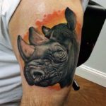 Tatuaj rinocer sensul, schițe, fotografii de tatuaje reale