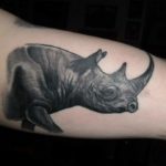 Tattoo orrszarvú érték, vázlatok, fényképek a valós tetoválás
