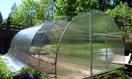 Greenhouse szibériai avtointellekt jellemző, áttekintésre, épít, fotó, videó