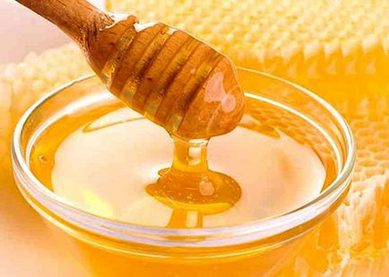 Гарбузовий мед - лікувальні властивості, користь і шкода, бальзам для печінки, відео