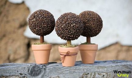 Topiary pentru incepatori cu maini proprii face copac de cafea