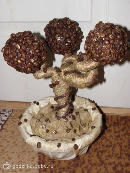 Topiary pentru incepatori cu maini proprii face copac de cafea