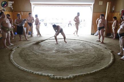 Luptătorii de formare sumo - doar interesant