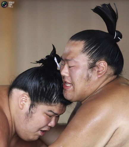 Luptătorii de formare sumo - doar interesant