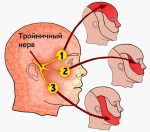 Háromosztatú ideg anatómia, ahol az idegek ágai (fotó és elrendezése)