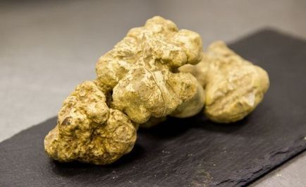 Truffle - ciuperci (preț pe 1 kg)