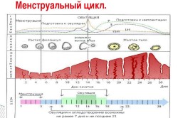 Eltávolítása méhnyálkahártya polip szövődmények és következményei