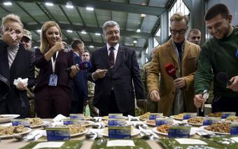 Дивовижна історія порятунку двох собак