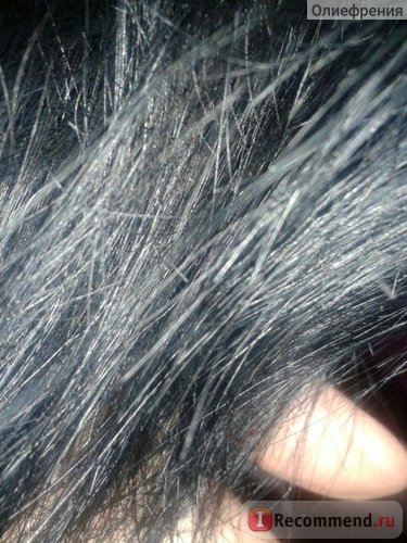 Ecet - „haj maszk BNY fotó jelentést! Update „vásárlói vélemények
