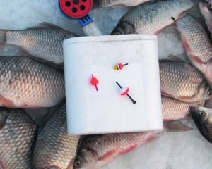 Dispozitive de prindere pentru prinderea roach-ului în timpul iernii - plutiți, pescuitul pentru mormyshku