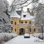 Vasyl'evskoe Estate (marino) - cum să ajungeți acolo, istorie, fotografie