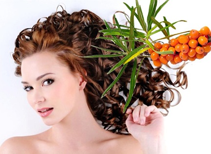 Дізнайтеся, про лікувальні властивості обліпихової олії для волосся!