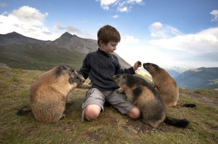 Ausztriában él egy fiú, akinek a szeme hívják a „Lord of the mormoták” - trükkök az élet