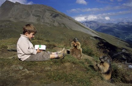 В Австрії живе хлопчик, якого позаочі називають «повелитель бабаків» - хитрості життя