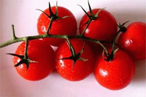 Creșterea unei tomate fără răsaduri - ghid pas cu pas