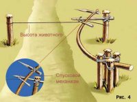 Виживання в лісі капкани для полювання на живність