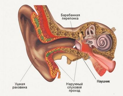 Вплив навушників на слух