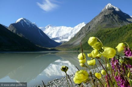 Ascentul beluga, tururile beluga, ascensiunea beluga 2017, calendarul tururilor 2017