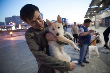 В росії цуценя-клон зустрівся з собакою, з якої його створили