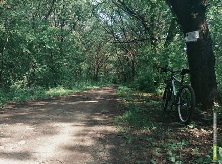 În tregulyay pe o bicicletă studiem ruta de biciclete - știri