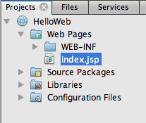 Introducere în dezvoltarea de aplicații web - un curs pe netbeans ide