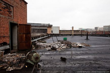 Planta abandonata zil