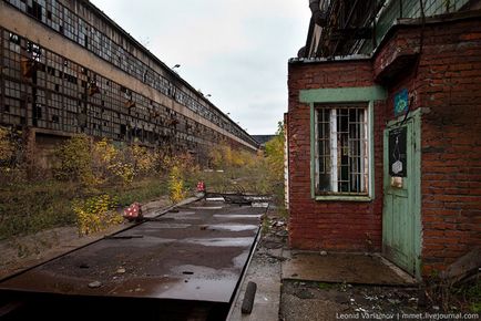 Planta abandonata zil