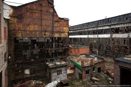 Planta abandonata zil