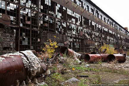 Planta abandonata zil