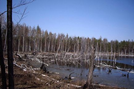 Загадки озера Смердячье