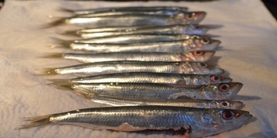 Fried herring pas cu pas reteta cu fotografie