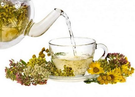 Gyomor tea készítmény, gyógyszer tulajdonságait és receptek