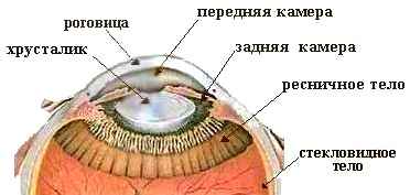 Рідина в оці, очей твоїх променистих світло