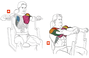 Bench în simulatorul de sân stând un exercițiu important pentru volumul de mușchi