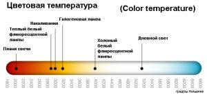 Alum ars în angină, totul despre tuse și durere în gât