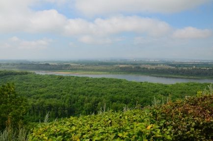 Зур беліш з куркою і рисом