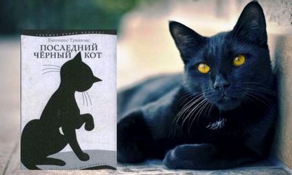 Top 12 könyv a macskákról