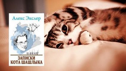 12 Кращих книг про котів