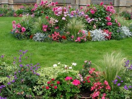 12 Reguli pentru introducerea plantelor în grădini de flori