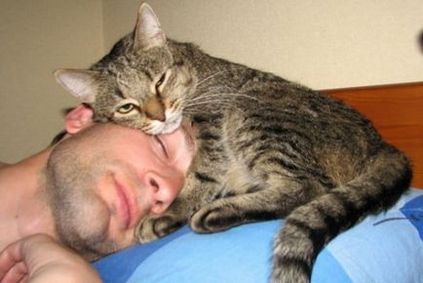 15 Semne ale faptului că o pisică recunoaște un bărbat îndrăgostit
