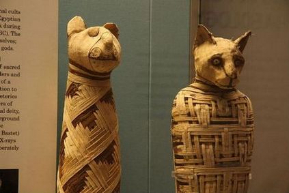 25 érdekes és kevéssé ismert tényeket múmiák (25 fotó)
