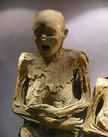 25 Fapte curioase și puțin cunoscute despre mumii (25 fotografii)