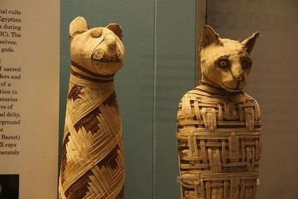 25 Цікавих і маловідомих фактів про мумії - а ви знали